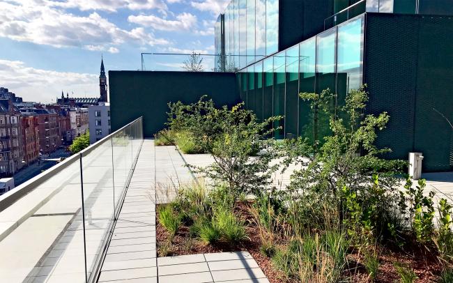 Roof terrace with plant beds and paving